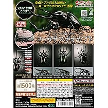 Amazon | いきもの大図鑑アドバンス コーカサスオオカブト [全3